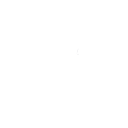 Vintage Cult Rock